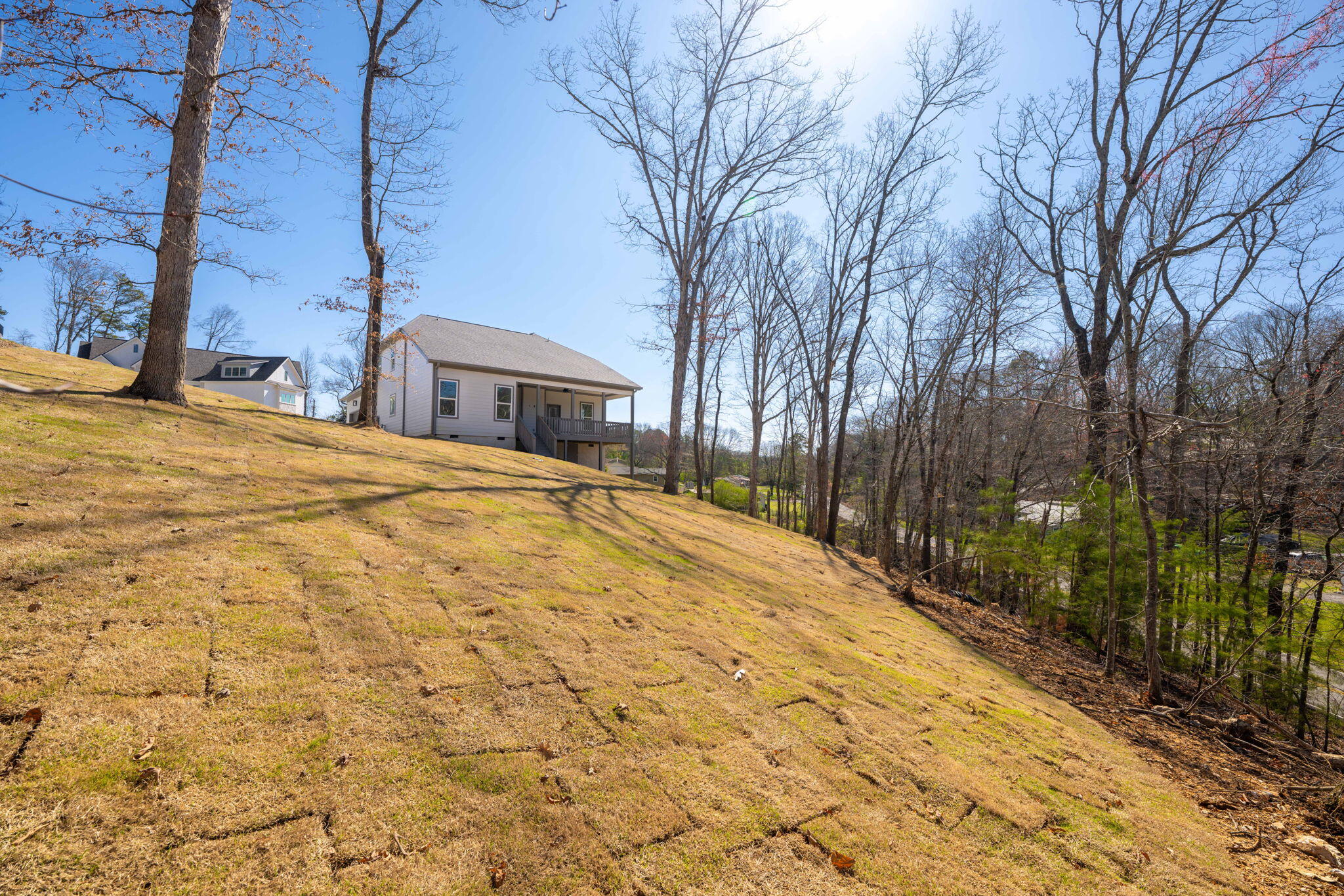6221 Alexandra Place, Chattanooga, Tennessee image 43