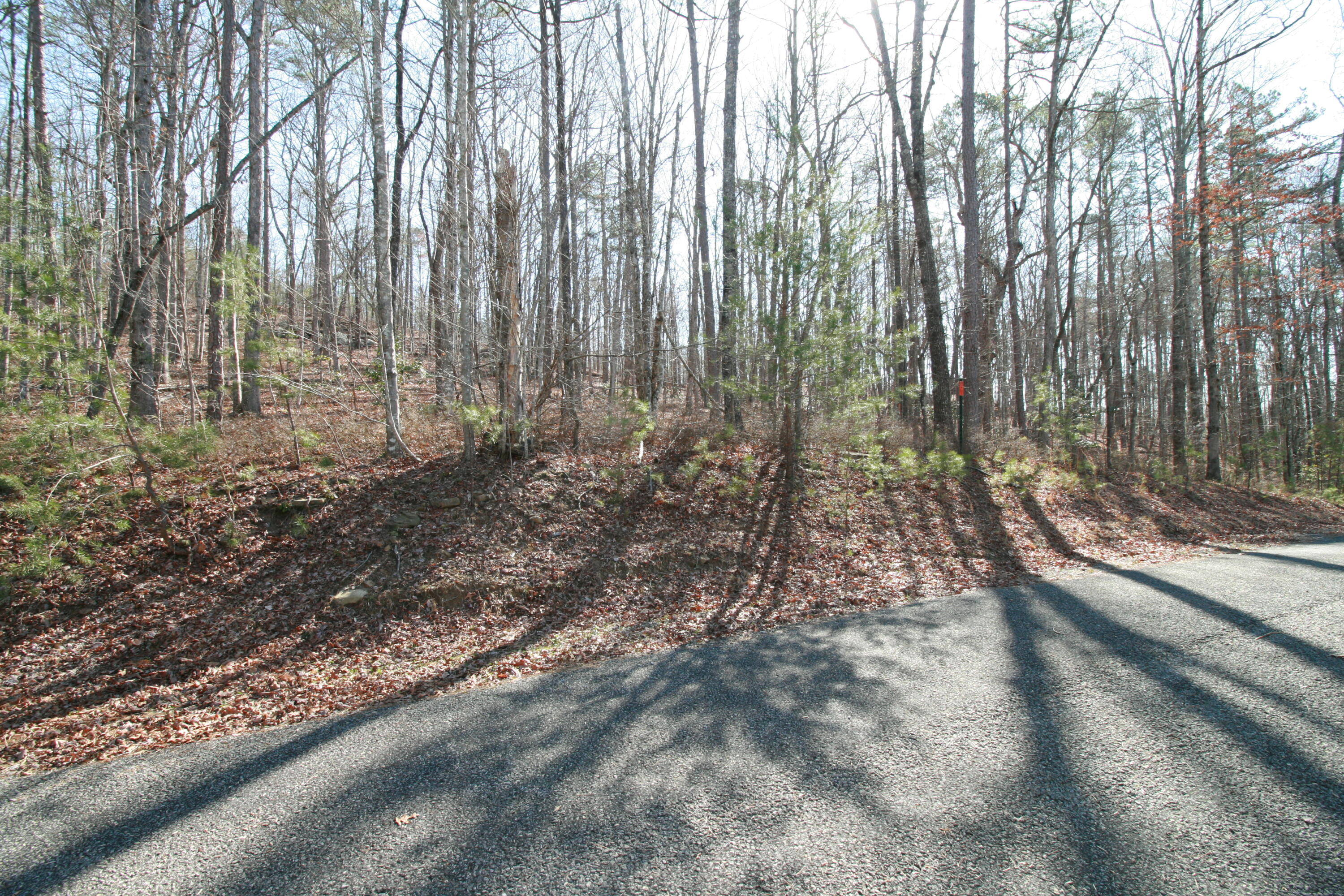 Tall Tree Trail #407, Dunlap, Tennessee image 2