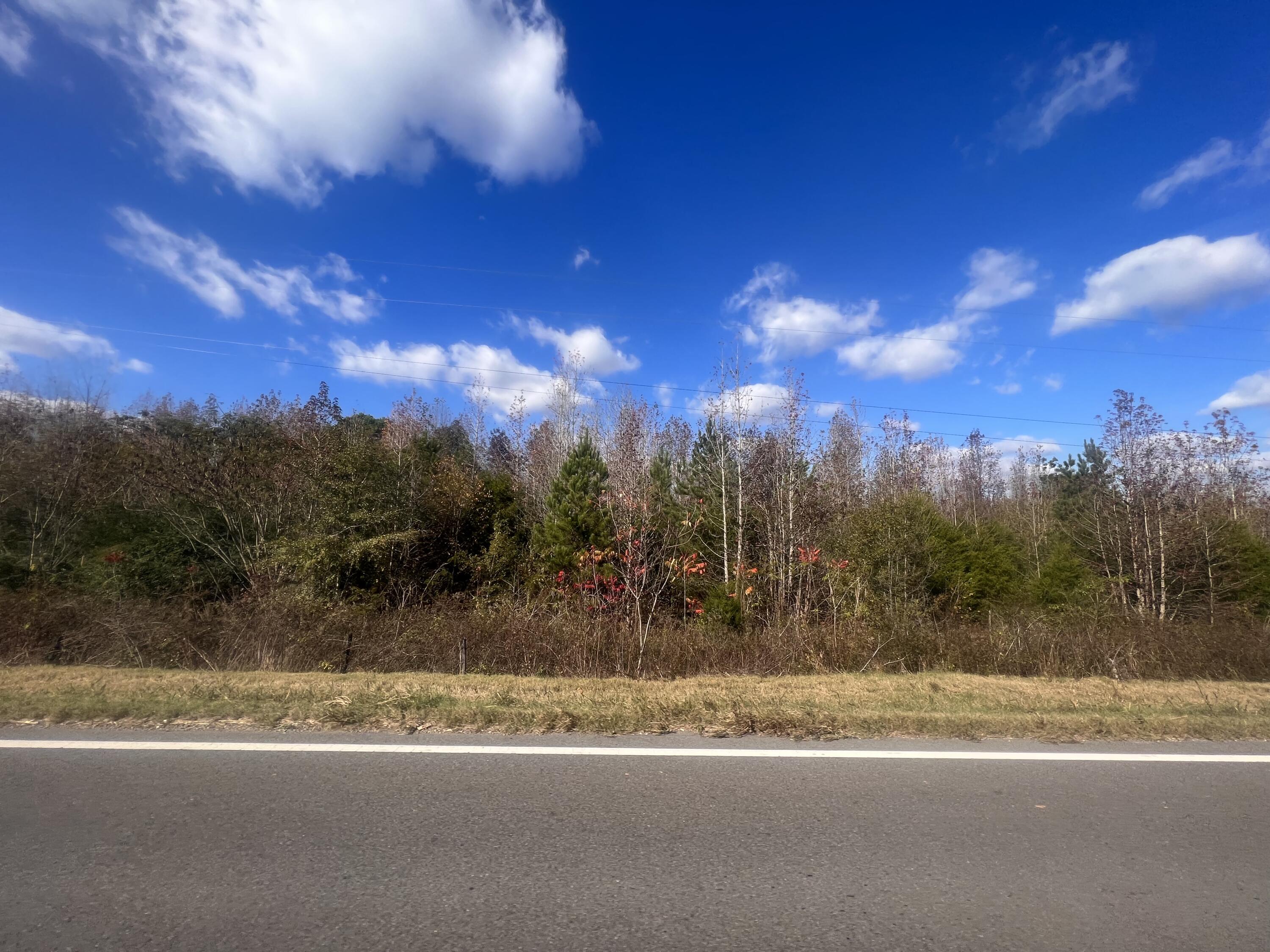 46996 Alabama Highway #277, Bridgeport, Alabama image 6