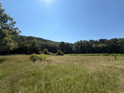 Homes For Sale - 1217 Durham Road<br/> Rising Fawn, GA 30738