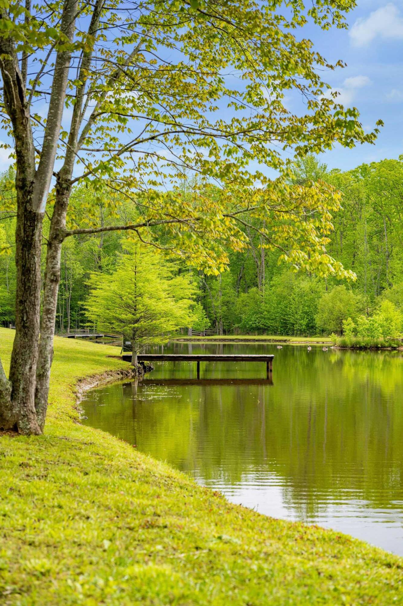 1170 Ascalon Road, Rising Fawn, Georgia image 14