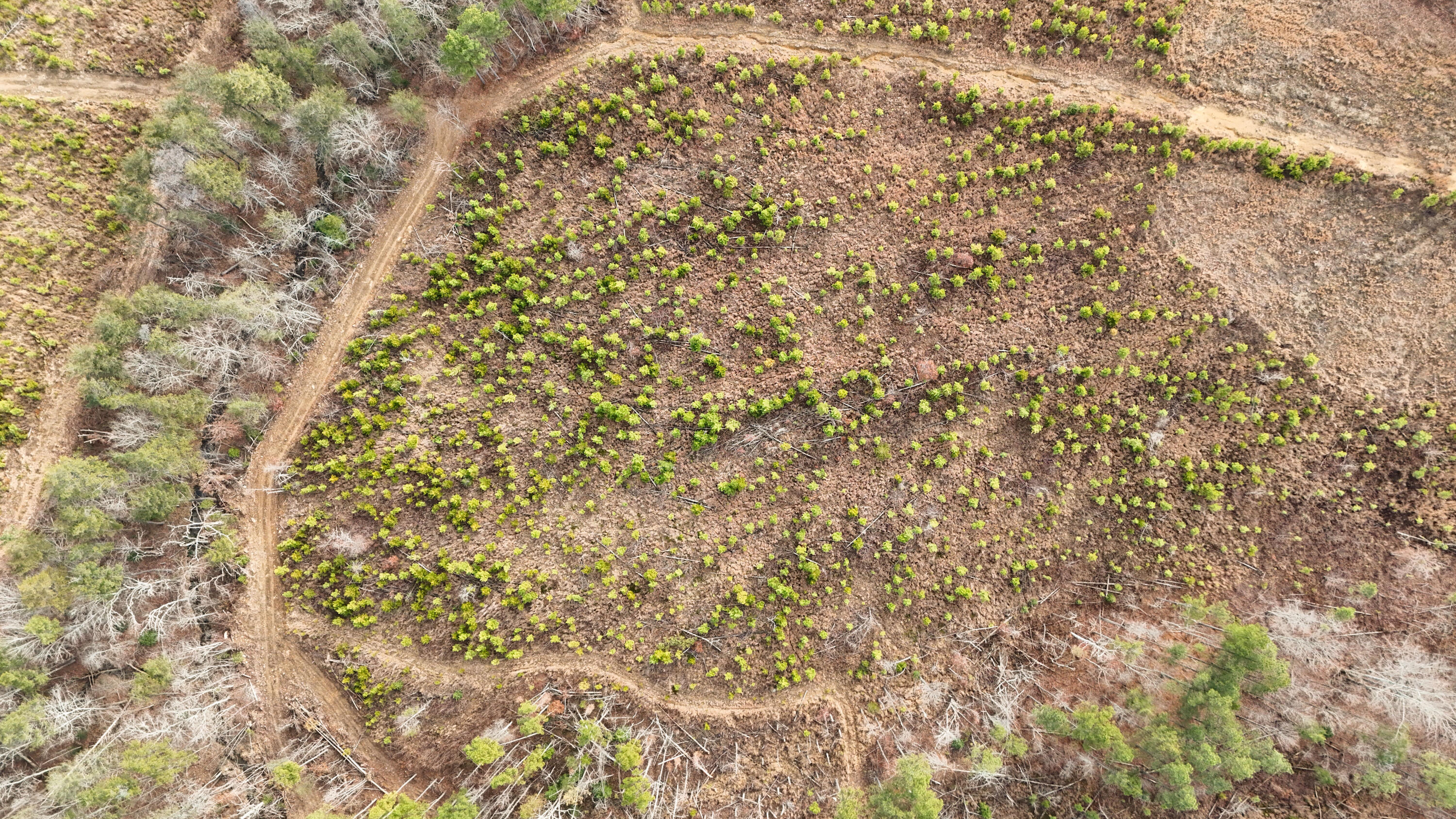 0 State Rt 399 Lot 13