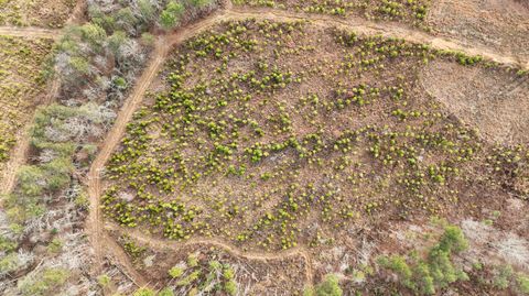 Tiny photo for 0 State Rt 399 Lot 13, Dunlap, TN 37327 (MLS # 1525223)