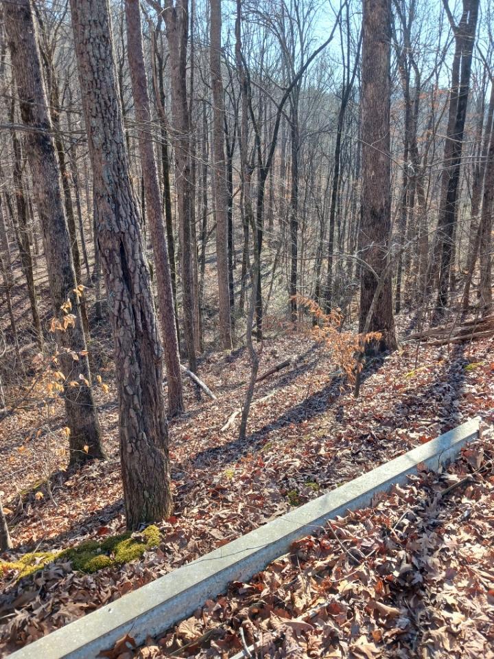 311 Roberts Mill Road