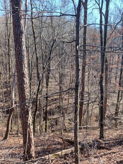 311 Roberts Mill Road Hixson TN 37343