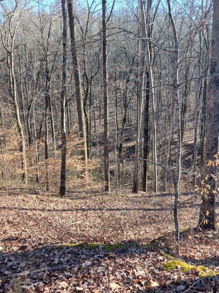 311 Roberts Mill Road