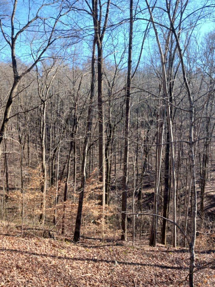 311 Roberts Mill Road