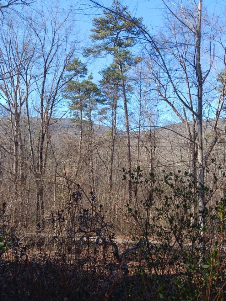 311 Roberts Mill Road