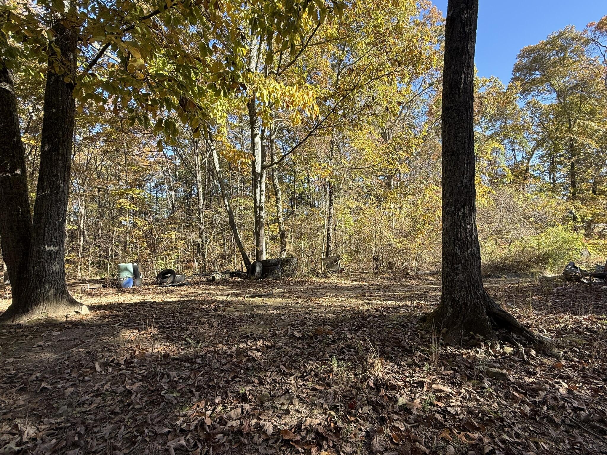 Flat Rock, Alabama 35966, United States, 3 Bedrooms Bedrooms, ,1 BathroomBathrooms,Residential,Active,244960