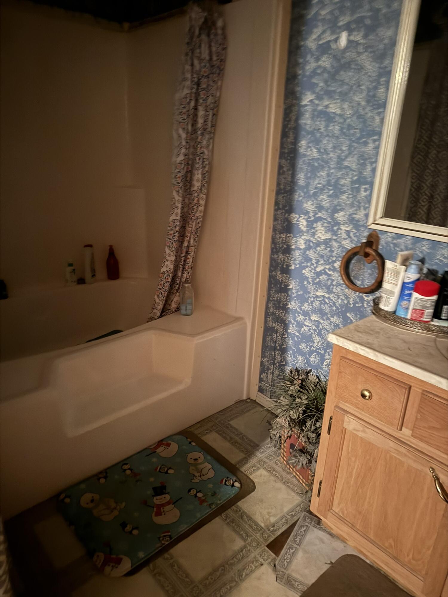 Flat Rock, Alabama 35966, United States, 3 Bedrooms Bedrooms, ,1 BathroomBathrooms,Residential,Active,244960