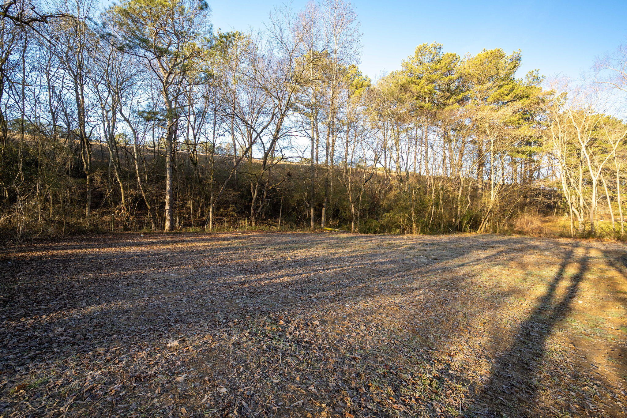 129 Lamoian Drive, Tunnel Hill, Georgia image 8