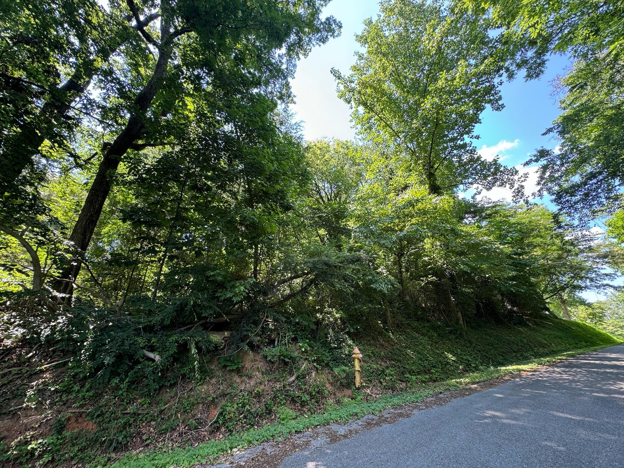 11621 Holly Circle, Soddy Daisy, Tennessee image 2
