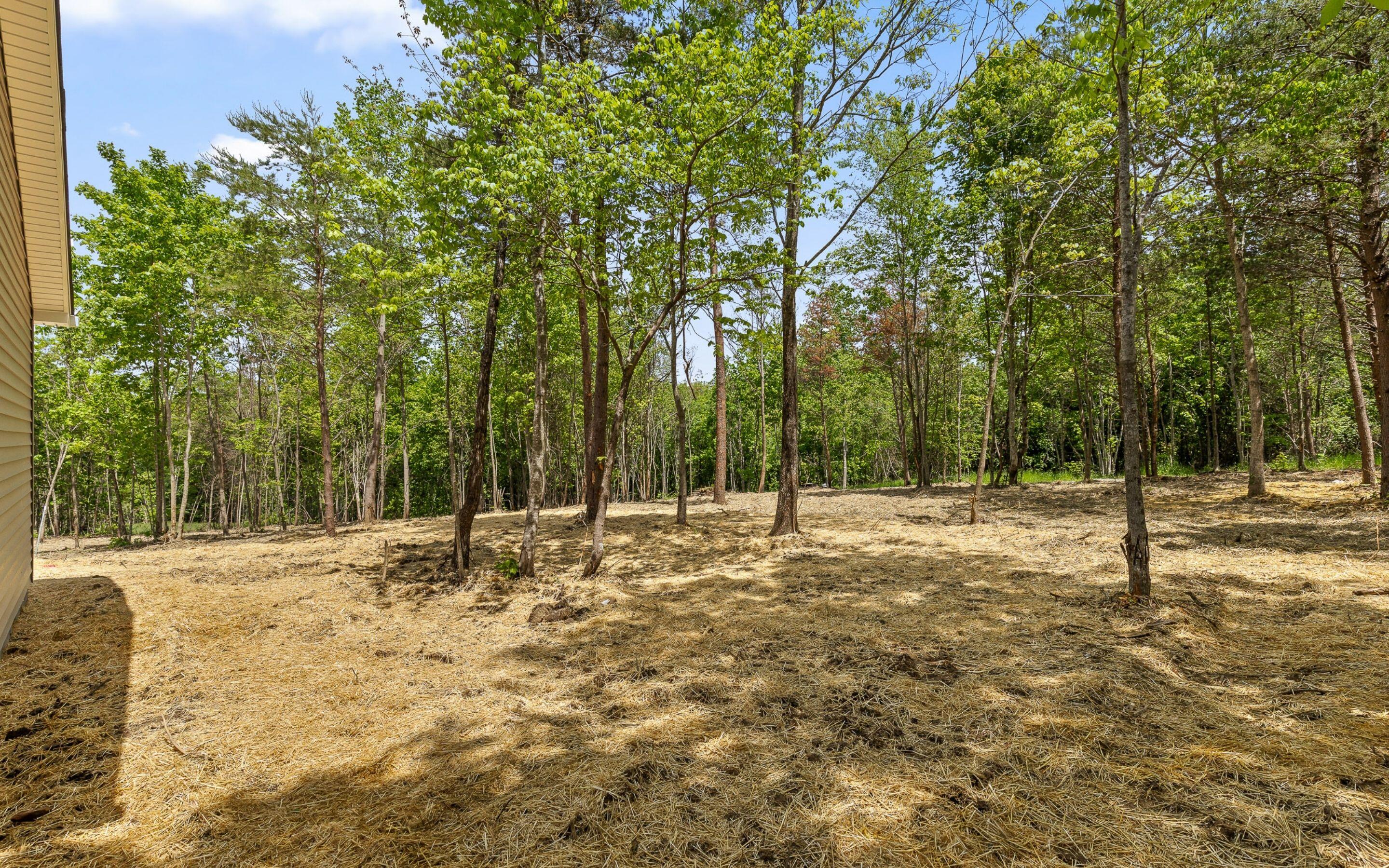 222 Grayson Way, Signal Mountain, Tennessee image 26