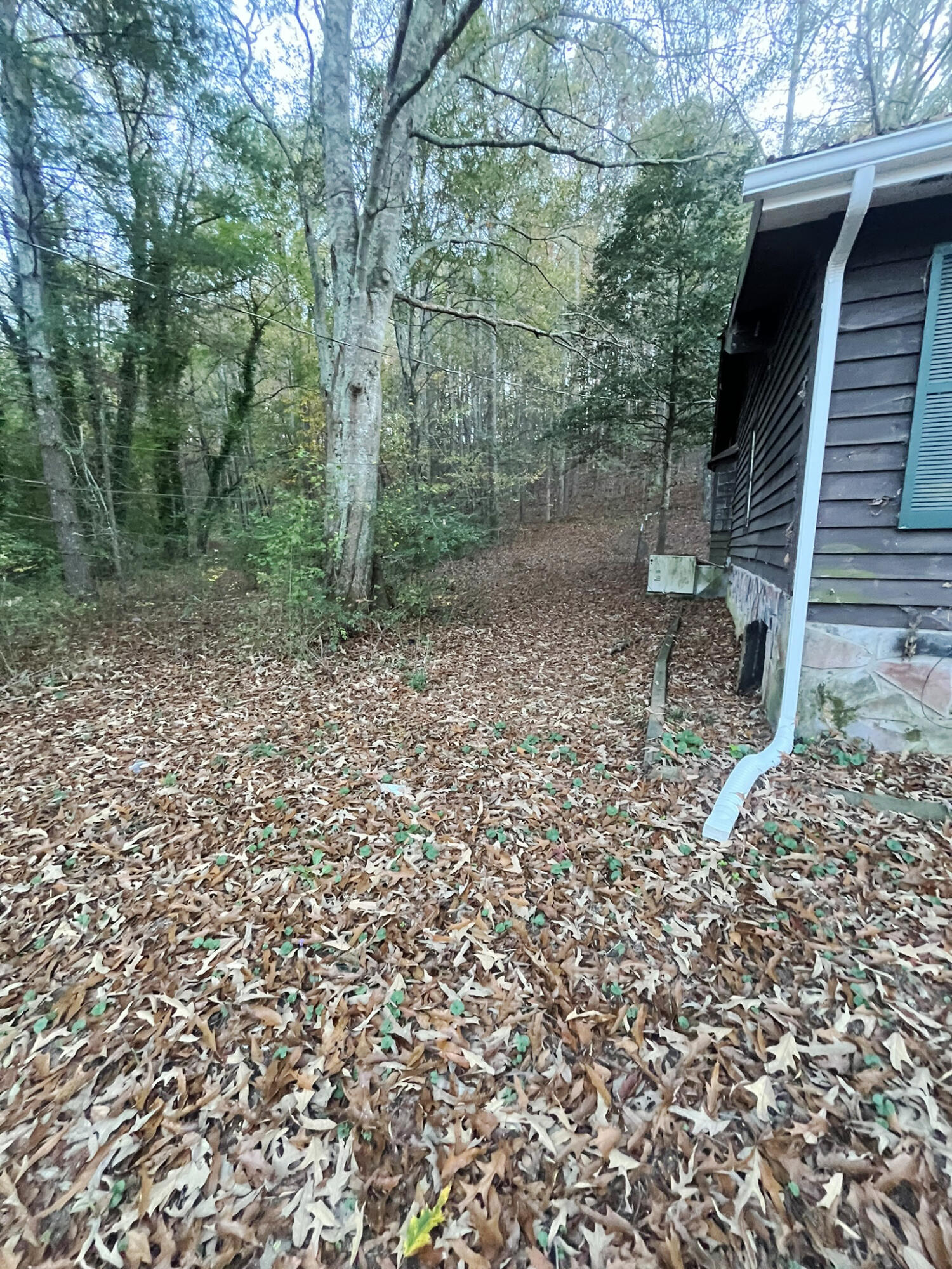 502 Hamilton Drive, Chickamauga, Georgia image 9