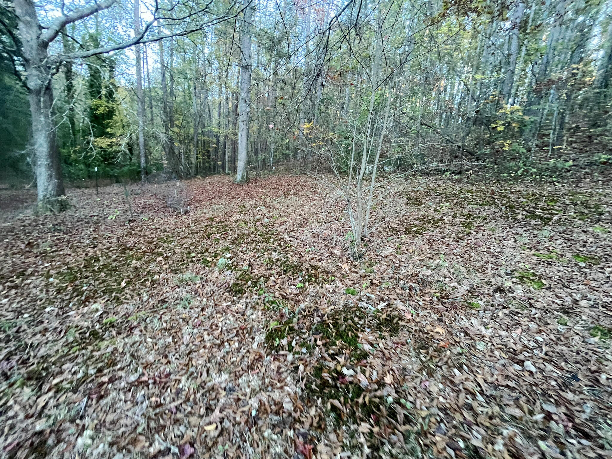 502 Hamilton Drive, Chickamauga, Georgia image 10
