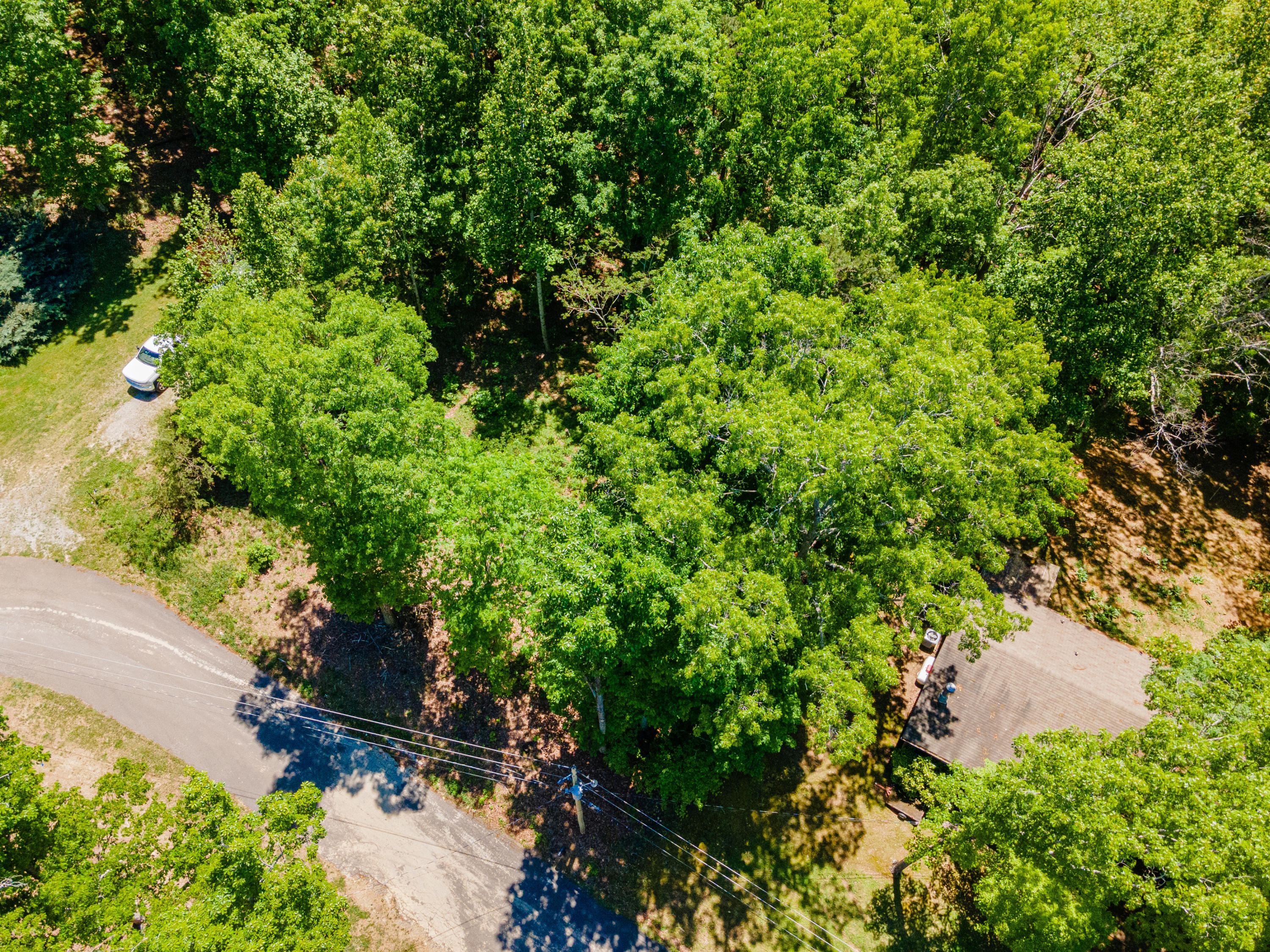 Georgetown Circle #LOT 25, Cleveland, Tennessee image 4