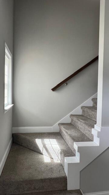 639 Bellingham Drive, Cleveland, Tennessee image 21