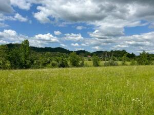 39 Ac Highway 68, Tellico Plains, Tennessee image 13