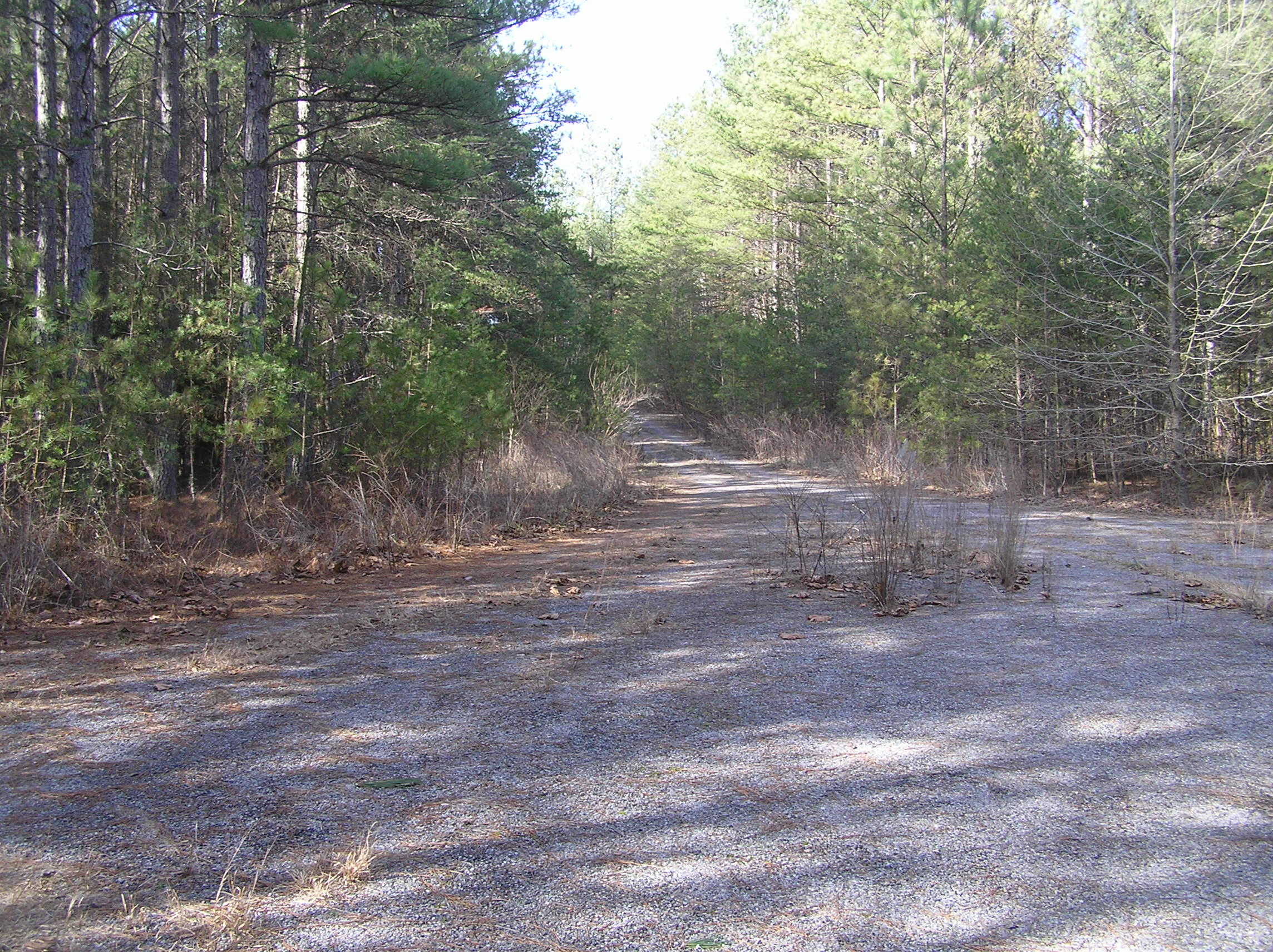 302 Trail Of Tears Road, Spencer, Tennessee image 10