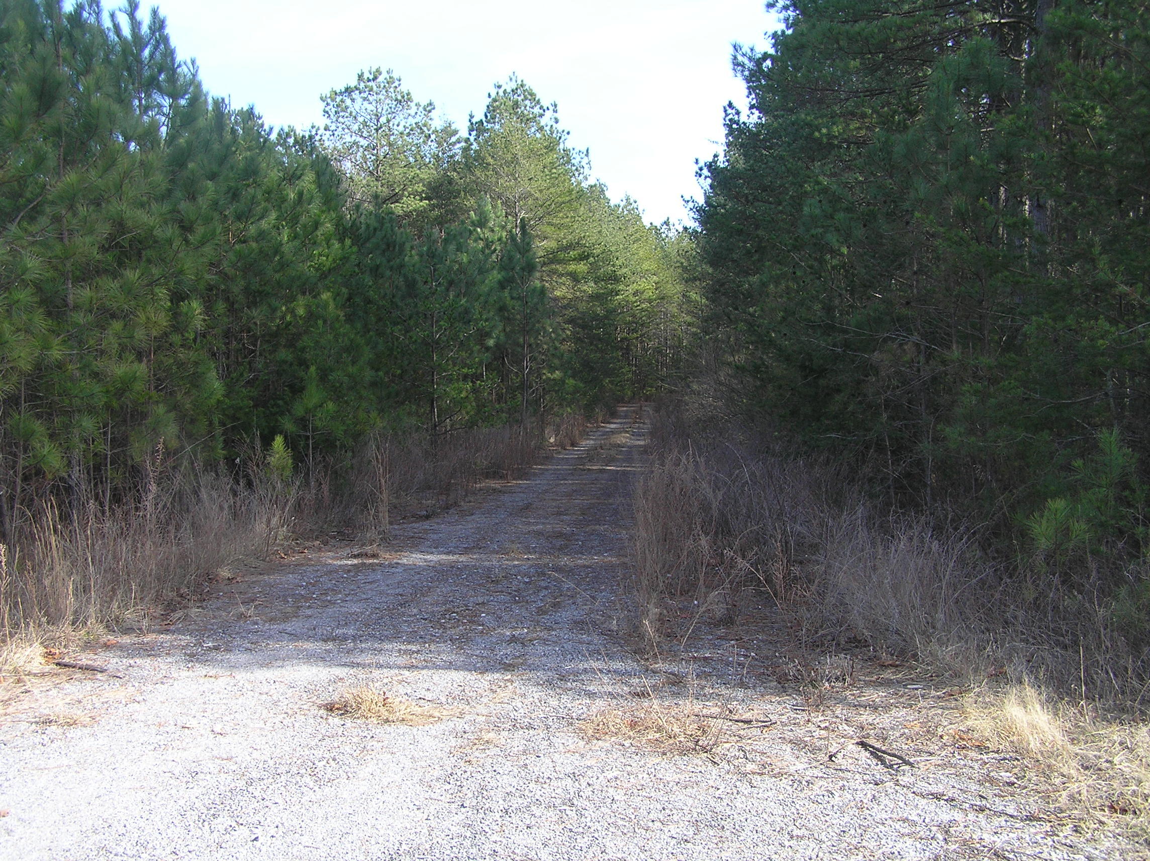 302 Trail Of Tears Road, Spencer, Tennessee image 16