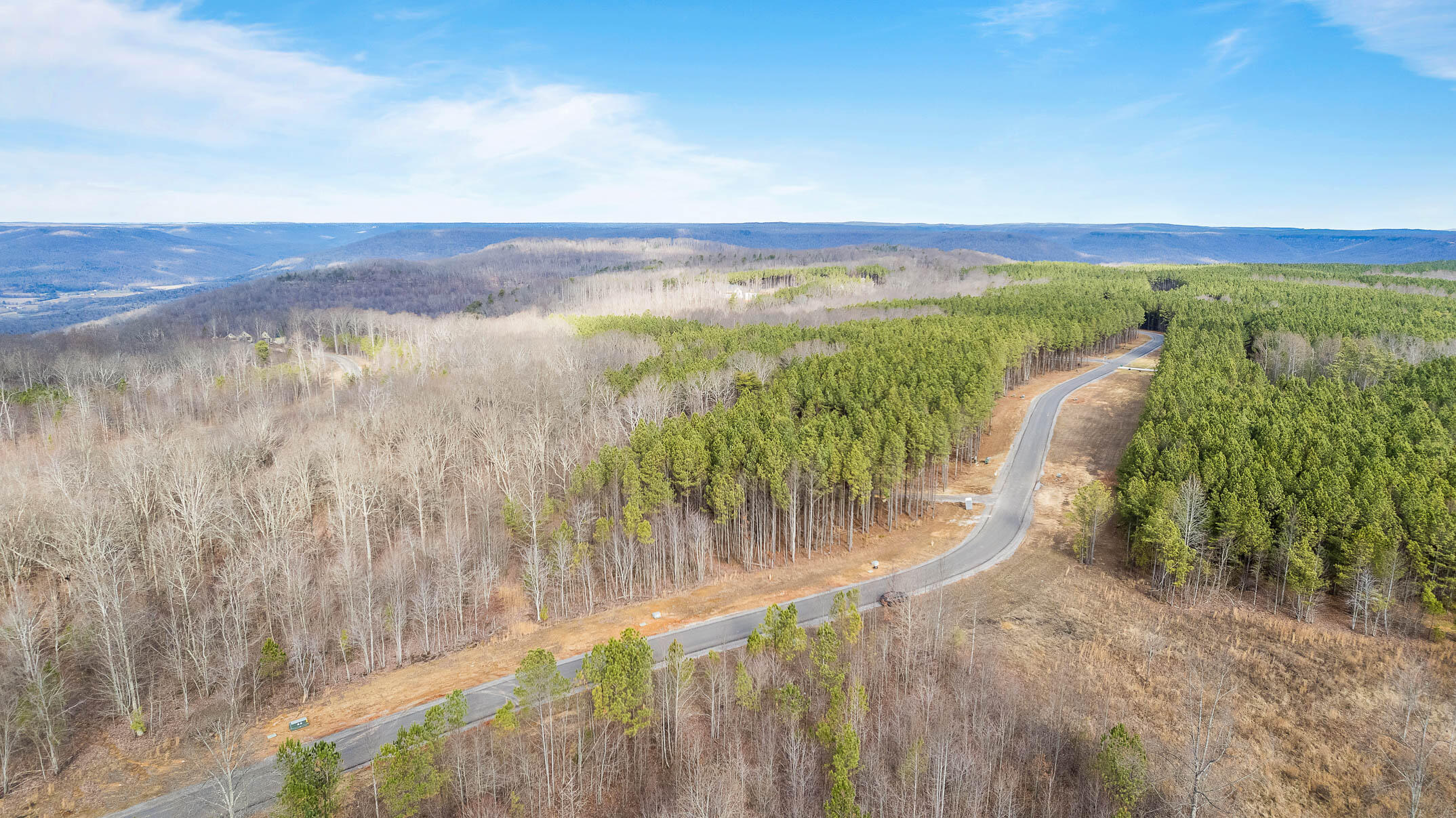 Crockett Point #JF401, Jasper, Tennessee image 7