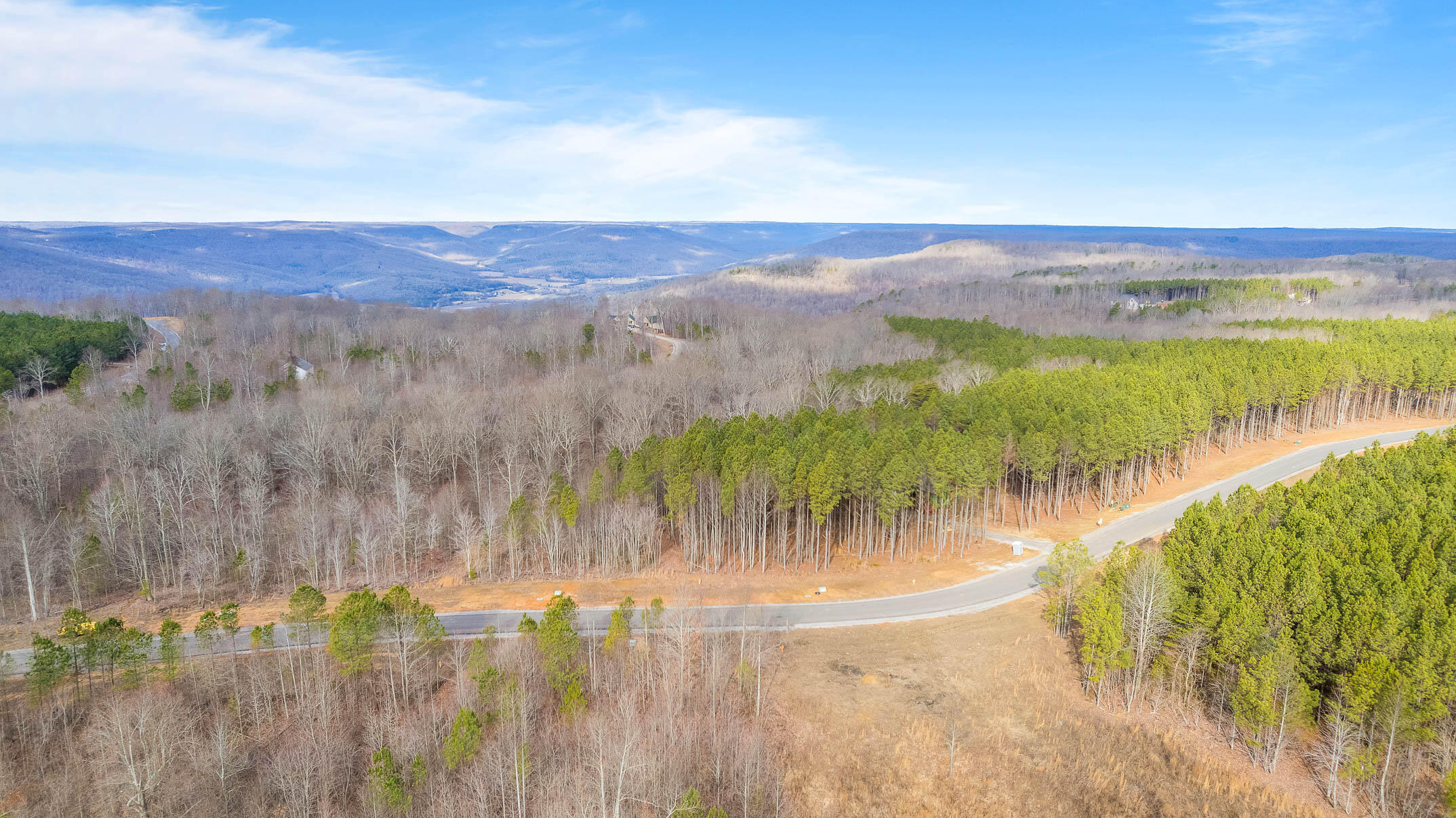 Crockett Point #JF401, Jasper, Tennessee image 9