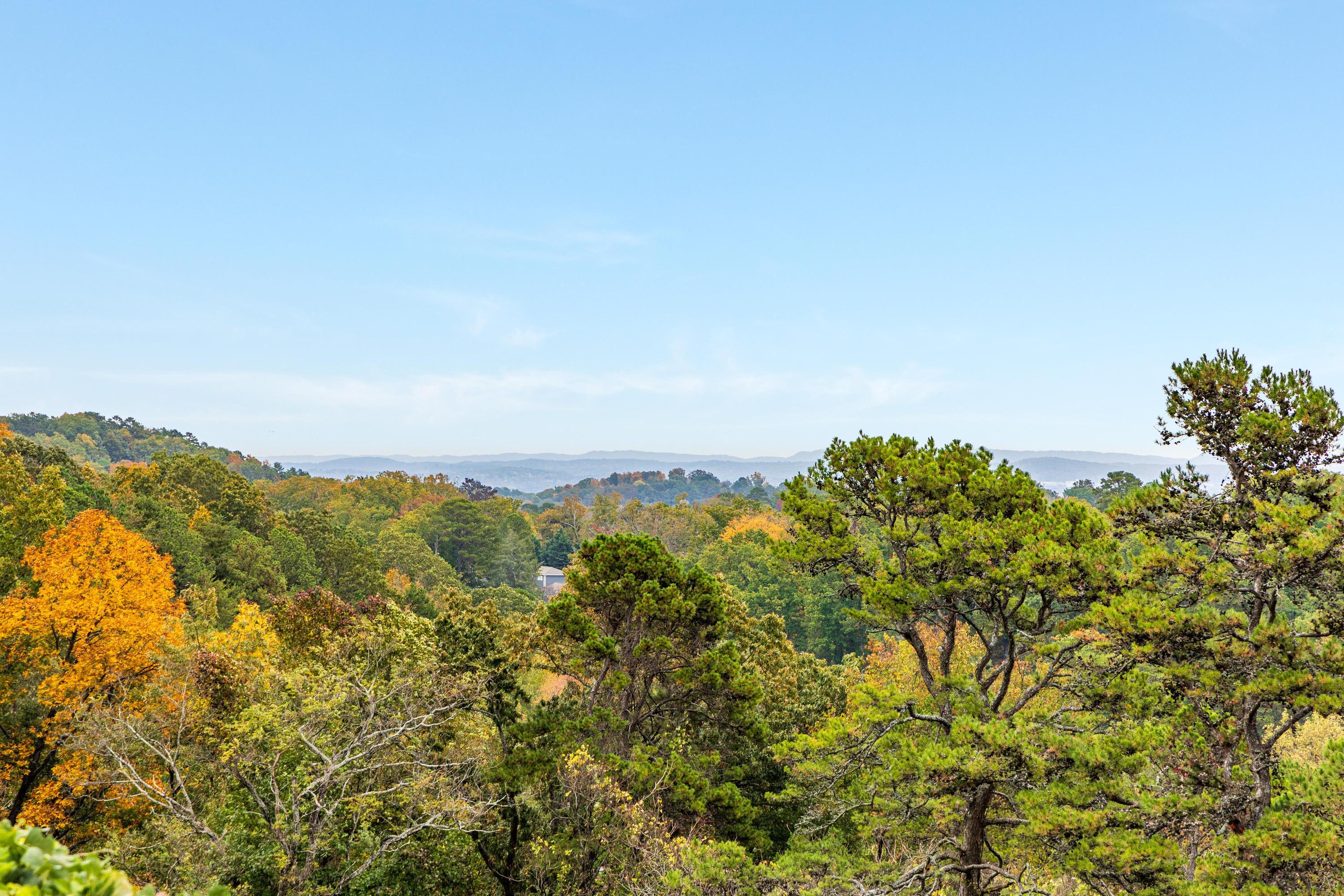 484 E View Drive, Chattanooga, Tennessee image 31