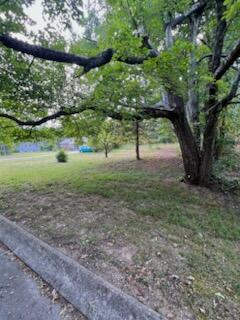 113 Bee Branch Boulevard