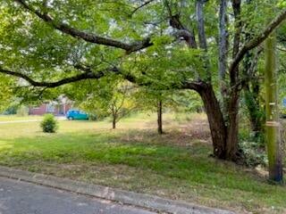 113 Bee Branch Boulevard