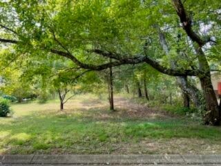 Vacant Land For Sale - 113 Bee Branch Boulevard<br/> Hamilton County, Signal Mountain, TN 37377