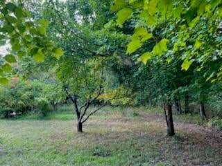 113 Bee Branch Boulevard
