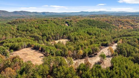 Tiny photo for Tr 92-1 Conniston Road, Chatsworth, GA 30705 (MLS # 1528022)