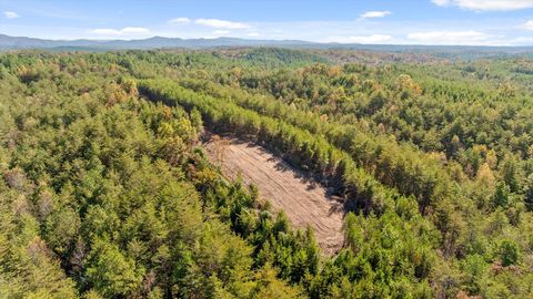 Tiny photo for Tr 92-1 Conniston Road, Chatsworth, GA 30705 (MLS # 1528022)