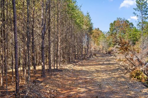 Tiny photo for Tr 92-1 Conniston Road, Chatsworth, GA 30705 (MLS # 1528022)