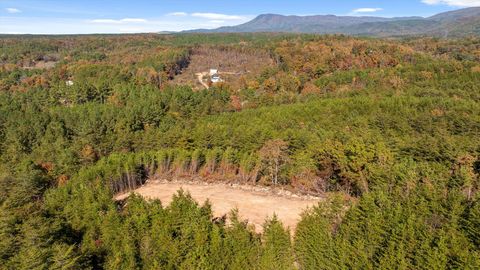 Tiny photo for Tr 92-1 Conniston Road, Chatsworth, GA 30705 (MLS # 1528022)