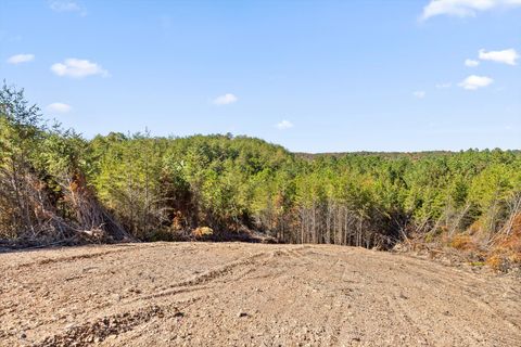 Tiny photo for Tr 92-1 Conniston Road, Chatsworth, GA 30705 (MLS # 1528022)