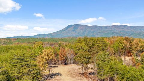 Tiny photo for Tr 92-1 Conniston Road, Chatsworth, GA 30705 (MLS # 1528022)