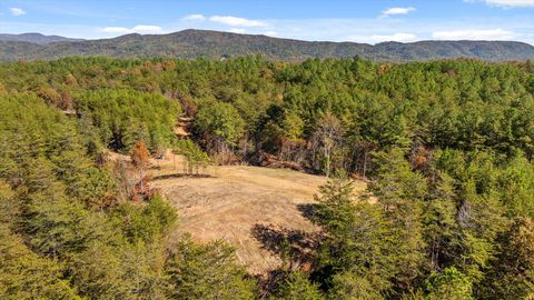 Tiny photo for Tr 92-1 Conniston Road, Chatsworth, GA 30705 (MLS # 1528022)