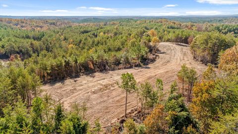 Tiny photo for Tr 92-1 Conniston Road, Chatsworth, GA 30705 (MLS # 1528022)