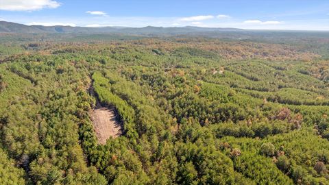 Tiny photo for Tr 92-1 Conniston Road, Chatsworth, GA 30705 (MLS # 1528022)