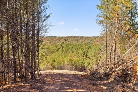 Tiny photo for Tr 92-1 Conniston Road, Chatsworth, GA 30705 (MLS # 1528022)