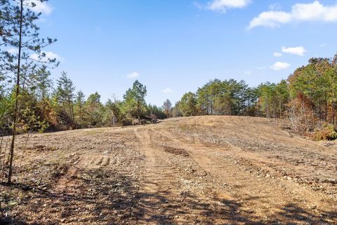 Tiny photo for Tr 92-1 Conniston Road, Chatsworth, GA 30705 (MLS # 1528022)