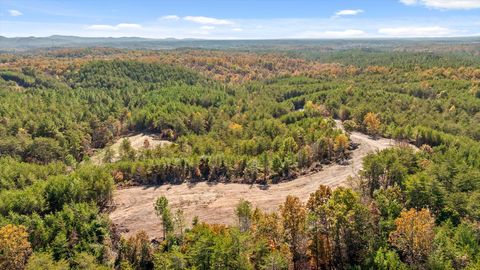 Tiny photo for Tr 92-1 Conniston Road, Chatsworth, GA 30705 (MLS # 1528022)