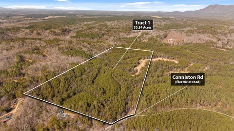 Photo of Tr 92-1 Conniston Road, Chatsworth, GA 30705 (MLS # 1528022) Photo of Tr 92-1 Conniston Road, Chatsworth, GA 30705 (MLS # 1528022)