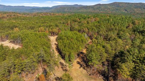 Tiny photo for Tr 92-1 Conniston Road, Chatsworth, GA 30705 (MLS # 1528022)