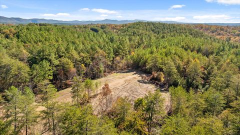 Tiny photo for Tr 92-1 Conniston Road, Chatsworth, GA 30705 (MLS # 1528022)