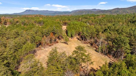 Tiny photo for Tr 92-1 Conniston Road, Chatsworth, GA 30705 (MLS # 1528022)