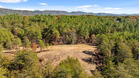 Tiny photo for Tr 92-1 Conniston Road, Chatsworth, GA 30705 (MLS # 1528022)