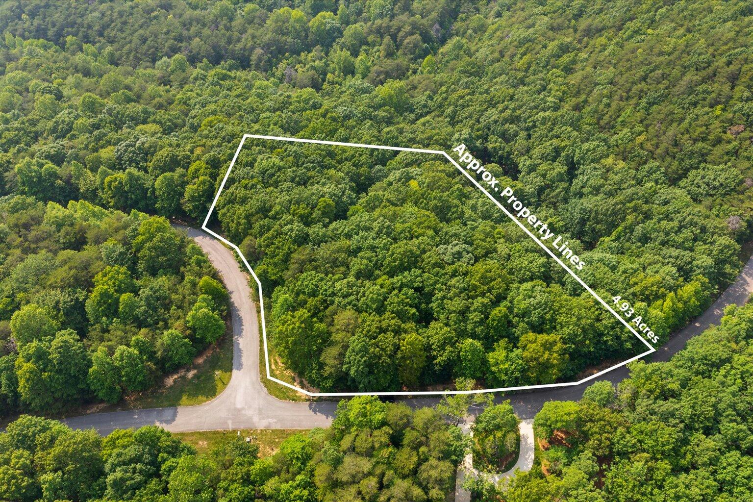 Shivas Crest #LOT 52, Rising Fawn, Georgia image 1