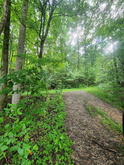 Photo of 0 S Pittsburg Mountain Road, South Pittsburg, TN 37380 (MLS # 1516462)